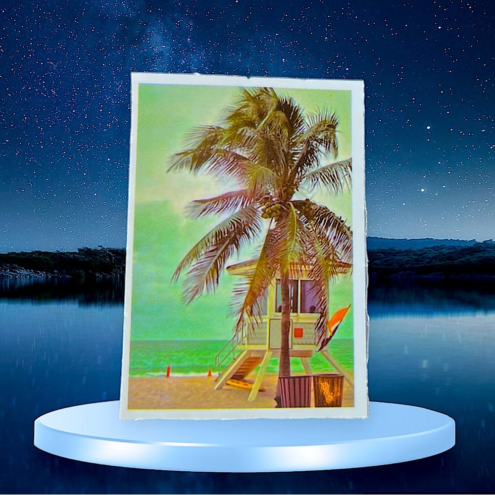 Beach Outdoor Adventure Journey Wander Traveler Explore Sticker